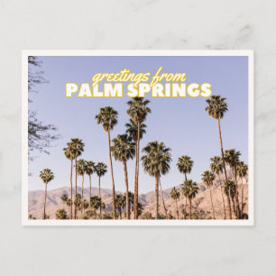 Palm Springs Palmbomen Retro Vintage Reizen Briefkaart