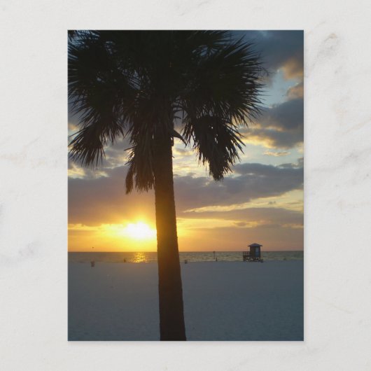 Palm Sunset Briefkaart (Voorkant)