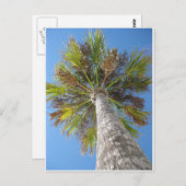 Palm Tower Postcard Briefkaart (Voorkant / Achterkant)