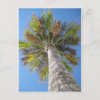 Palm Tower Postcard Briefkaart