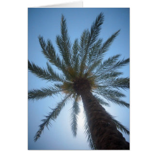 PALM TREE