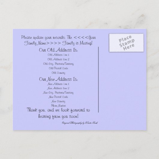 Palm Tree Beach; Adreswijziging Aankondigingskaart (Achterkant)