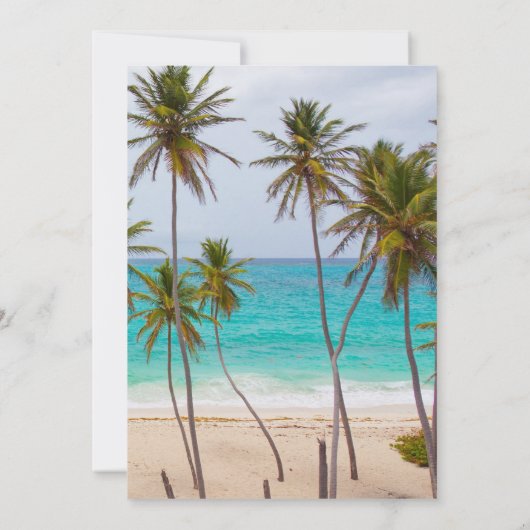 Palm Tree Beach Engagement Cérémonie Invitation (Dos)