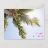 Palm Tree Blue Sky Miami Floride Carte postale Voy (Devant)