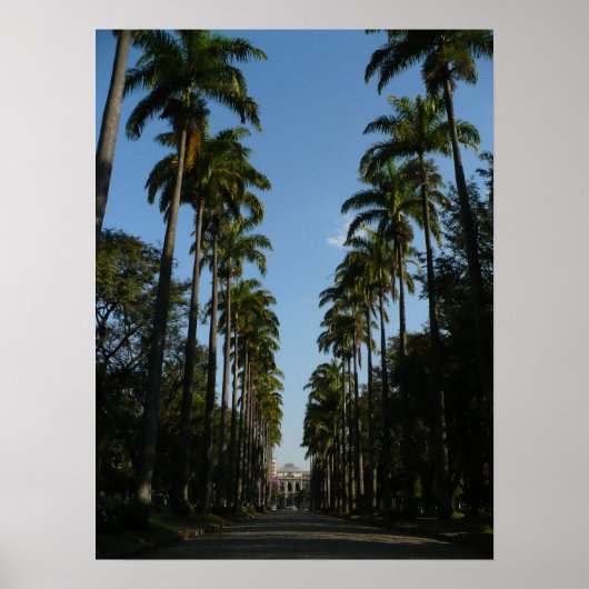 Palm Tree Boulevard Poster (Voorkant)