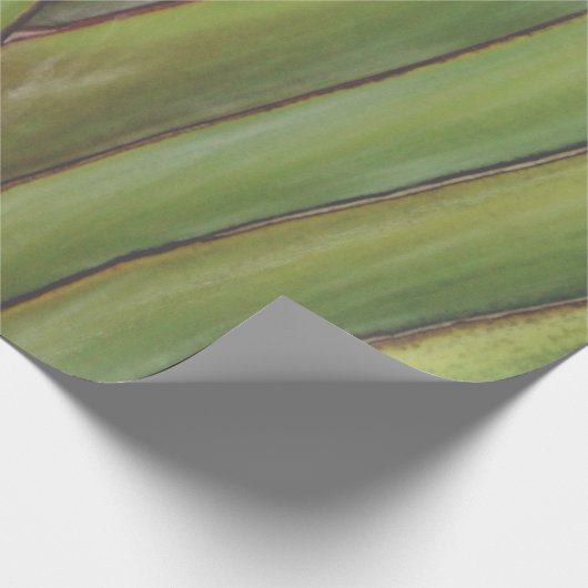 Palm Tree cadeaupapier (Hoek)