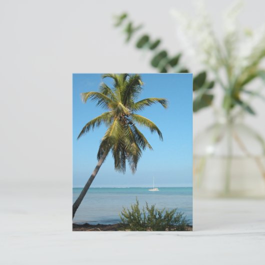 Palm Tree - Carte postale (Debout devant)
