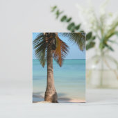 Palm Tree - Carte postale (Debout devant)