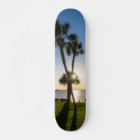 Palm Tree Ciseaux Silhouette Skateboard (Devant)