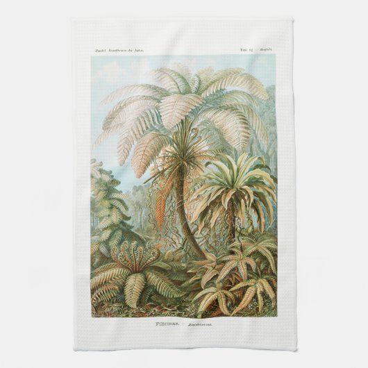 Palm Tree Ernst Haeckel Theedoek (Verticaal)