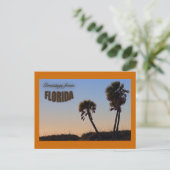 Palm Tree Florida Post Card Briefkaart (Staand voorkant)