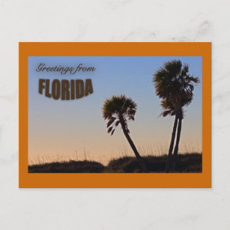 Palm Tree Florida Post Card Briefkaart