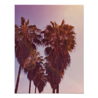 Palm Tree Heart Photo Foto Afdruk