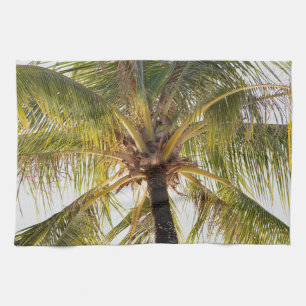 Palm Tree Kitchen Towelen Theedoek