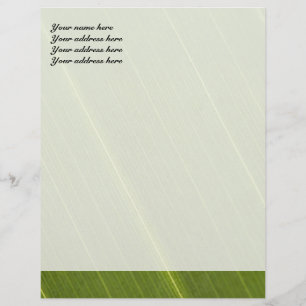 Palm Tree Leaf Letterhead Design Custom Briefhoofd