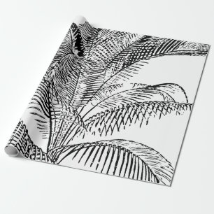 Palm Tree Leaves Black & White Abstract Pattern Cadeaupapier