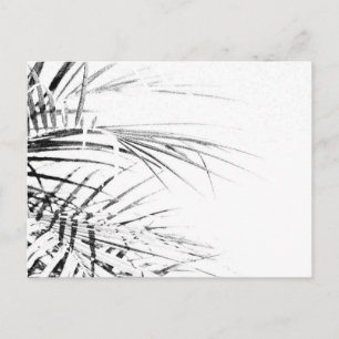 Palm Tree Leaves Minimalism Sketch Briefkaart