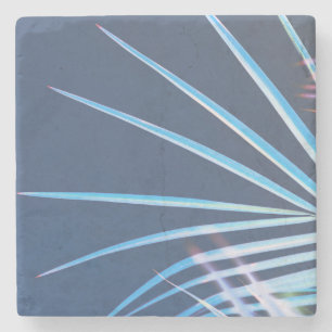 Palm Tree Leaves Minimalism Sketch Stenen Onderzetter