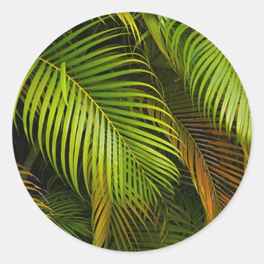 Palm Tree Leaves Summer Beach Tropical Wedding Ronde Sticker (Voorkant)