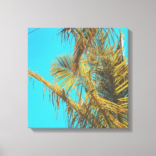 Palm Tree Leaves Turquoise Sky Canvas Afdruk (Voorkant)