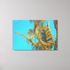 Palm Tree Leaves Turquoise Sky Canvas Afdruk