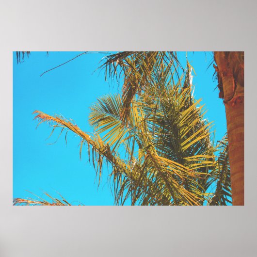 Palm Tree Leaves Turquoise Sky Poster (Voorkant)