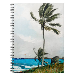 Palm Tree (Nassau) (1898) van Winslow Homer Notitieboek
