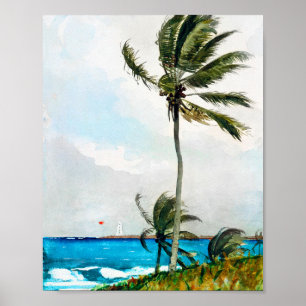 Palm Tree Nassau van Winslow Homer Poster