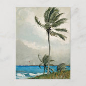 Palm Tree Nassau Winslow Homer Briefkaart (Voorkant)