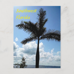 Palm Tree nuages Southwest florida Carte postale