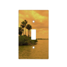Palm Tree Reverie