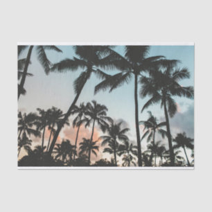 Palm Tree Silhouettes Tissuepapier