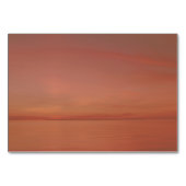 Palm Tree Sunset Beach Réception + Cartes d'hôtel (Dos)