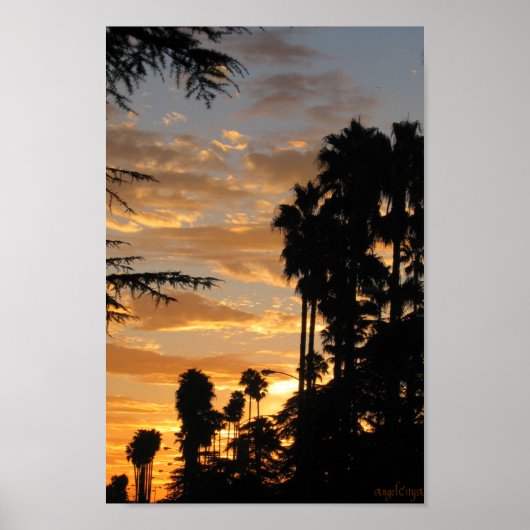 Palm Tree Sunset Los Angeles Poster (Voorkant)