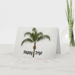 Palm Tree Tropical Vacances Meilleure carte de voe