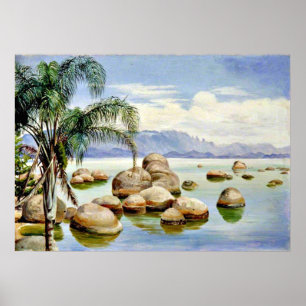 Palm Trees and Boulders in de baai van Rio, Brazil Poster