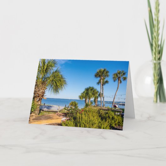 Palm Trees Bayside Matin Carte de voeux (Devant)