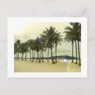 Palm Trees Beach Briefkaart
