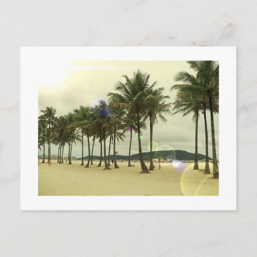 Palm Trees Beach Briefkaart (Voorkant)