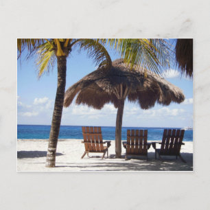 Palm Trees en stoelen Mexico Beach Briefkaart