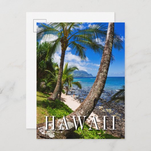 Palm Trees langs Hideaways Beach Briefkaart (Voorkant / Achterkant)