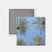 Palm Trees Magnet Magneet (Voorkant / Achterkant)