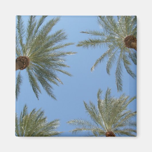 Palm Trees Magnet Magneet (Voorkant)