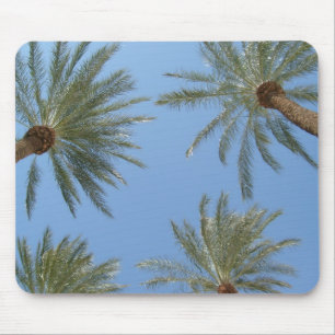 Palm Trees Mousepad Muismat