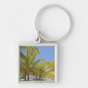Palm Trees op een Honduras White Sand Beach Sleutelhanger