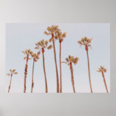 PALM TREES POSTER (Voorkant)