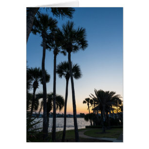 Palm Trees Sunrise Destin Florida Carte de voeux
