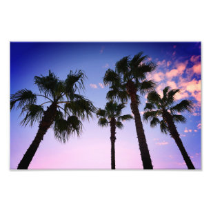 Palm Trees zwaaien met Kerstmis in Destin Florida Foto Afdruk