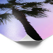 Palm Trees zwaaien met Kerstmis in Destin Florida Foto Afdruk (Hoek)