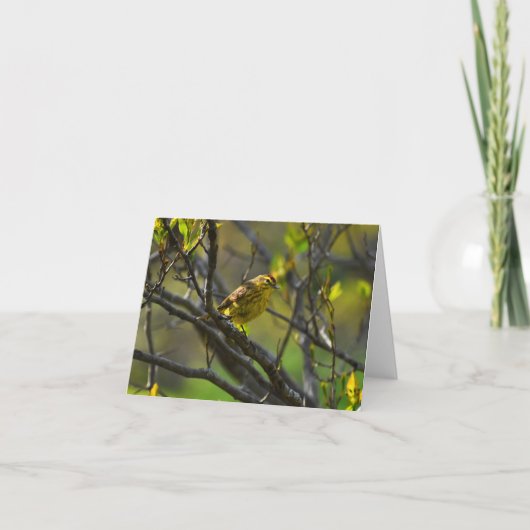 Palm Warbler #1 - Blank Note Kaart (Voorkant)